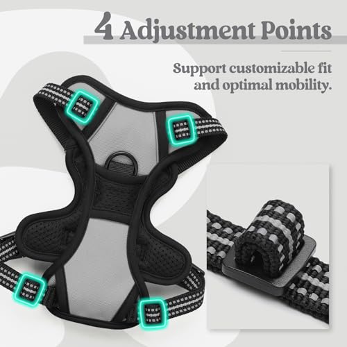 Dog Harness No Pull with 2 Leash Clips (X-Small / Gray)