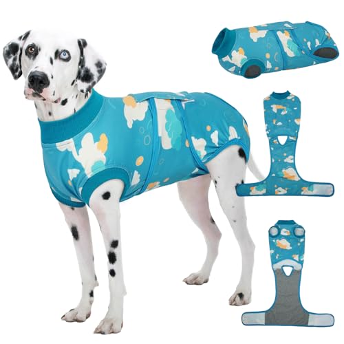 Dog Recovery Suit (Cloud Blue / X-Large)