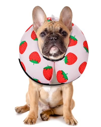 Inflatable Dog Cone (Strawberry / M(12"-15"))