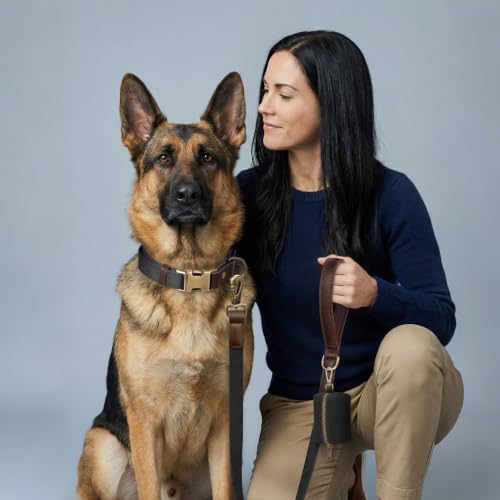 PU Leather Dog Leash for Large Dogs (Black / 1"x 6FT)