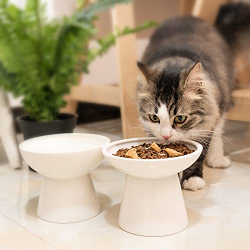 2 Pack Elevated Ceramic Cat Bowls Extra Wide for Food & Water (White)