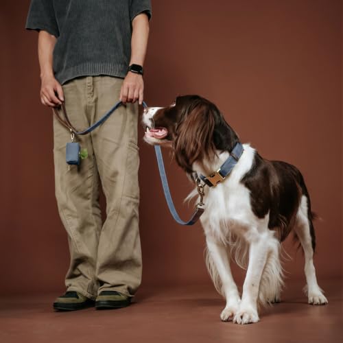 PU Leather Dog Leash for Medium Dogs (Blue / 3/4''x 5FT)