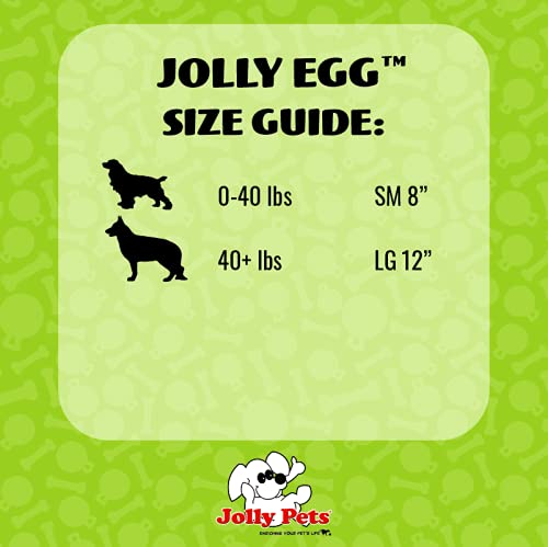 Jolly Egg Dog Toy (Large (12 in) / Purple)