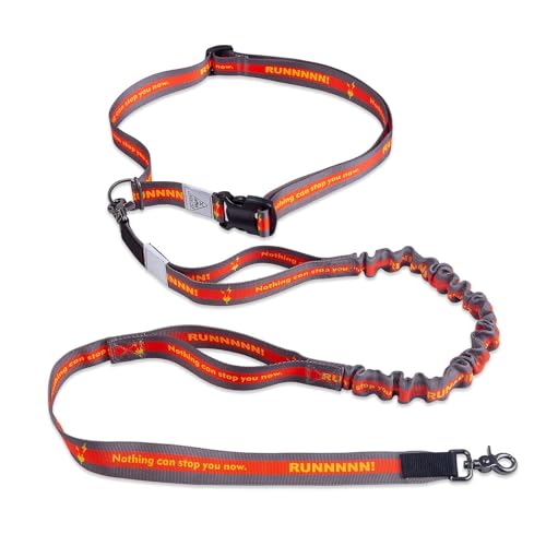 Hands Free Dog Leash (Orange)