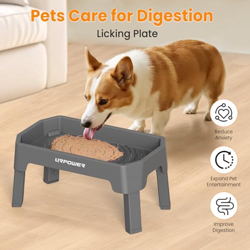 Elevated Dog Bowls (Grey / Large)