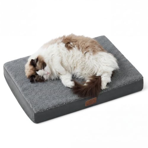 Small Dog Bed (24"L x 16"W x 3"Th / Dark Grey)
