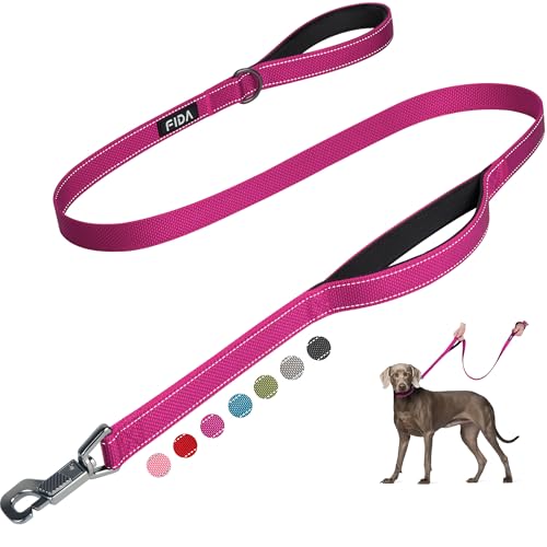 Heavy Duty Dog Leash for Medium Large Dogs (4 Feet (Pack of 1) / Rose)