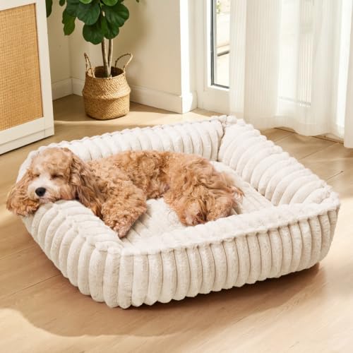 Small Dog Bed Calming Cat Bed for Indoor Cats 20’’x16’’ Ivory (Ivory / 20"L x 16"W x 6"Th)