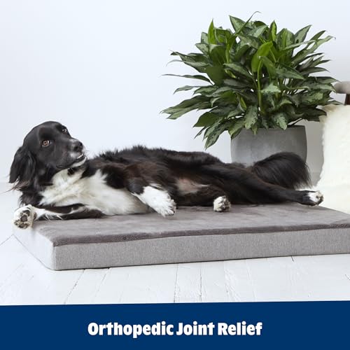 Orthopedic Dog Bed (Grey / XX-Large)