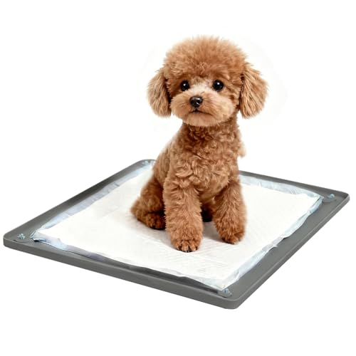 Dog Pee Pad Holder (Black / 24x24in)
