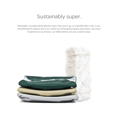 Washable Belly Bands for Male Dogs (Small (13-16") / Spruce)