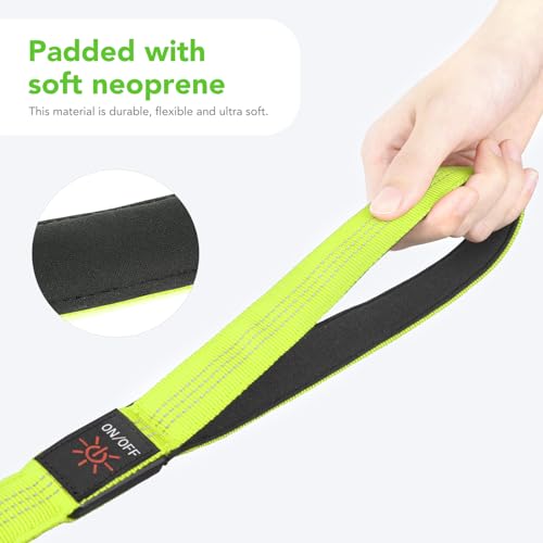 LED Light Up Dog Leash (Green (New) / 4FT)