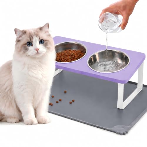 Upgraded Elevated Cat Bowls with Food Mat