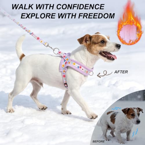 Small Dog Harness and Leash Set (Dark Purple / S: Chest 17.5"-22")