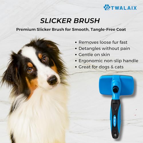 6 in 1 Pet Grooming Kit for Dogs & Cats (6 Count (Pack of 1))