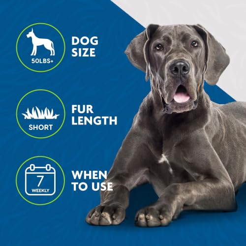 Large Dog Undercoat deShedding Tool for Short Hair (short hair - new model / Large)