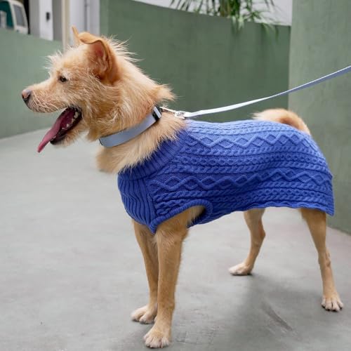 Dog Sweater Award (20 inch (Pack of 1) / Klein Blue)