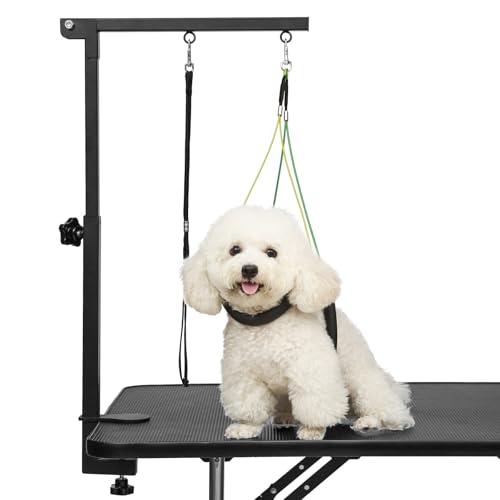 Dog Grooming Table Arm with Clamp 32in (Medium)