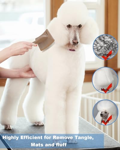 Dog Slicker Brush for Large Dogs (L / Wood)