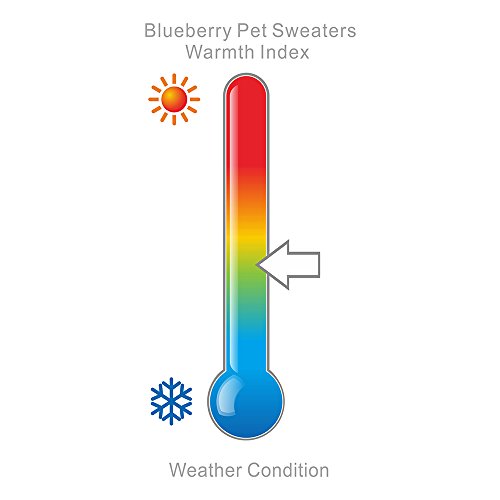 Let It Snow Classic Ugly Christmas Holiday Snowflake Pullover Hoodie Dog Sweater in Red and White (10 inch (Pack of 1) / Red Hoodie)