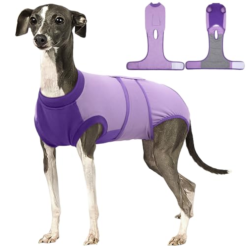 Dog Recovery Suit (Purple / Large)
