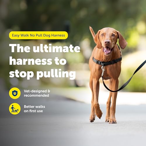 Easy Walk Harness (Medium / Black/Silver)