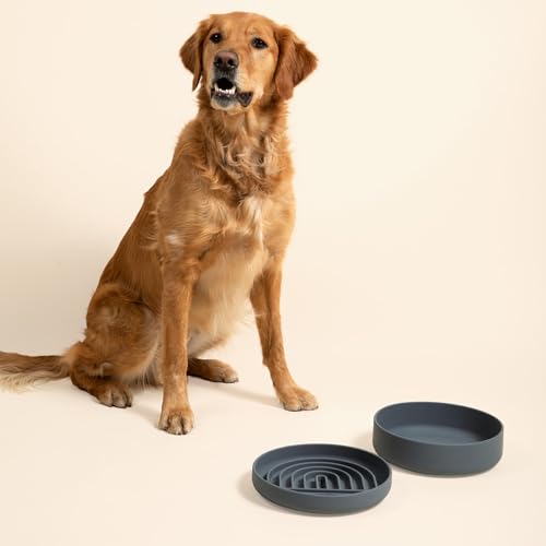 Slow Feeder Dog Bowl (Charcoal - Rainbow Design / Large (9.5” Across and 1.5” Tall))