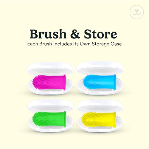 Dog Toothbrush (Neon (4-pack))