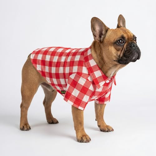 Gingham Plaid Dog Shirt (Medium / Red)