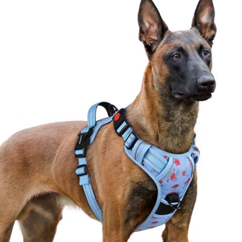 Dog Harness for Large (X-large / Floral Blue)