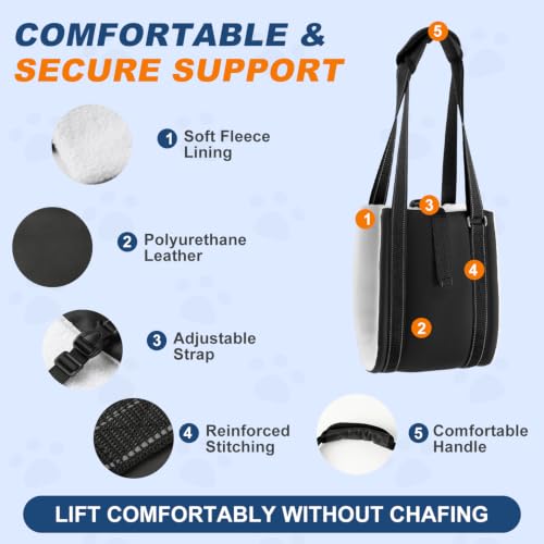 Dog Lift Harness for Rear Legs (Large)