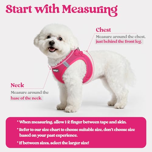 Dog Harness Small Sized and Leash Set (Rose Red / Xxxs (chest: 10.8 - 11.8"))