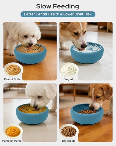 Dog Lick Bowl for Dogs S (Large / BlUE)