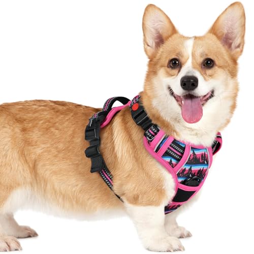 Dog Harness Small Sized (Small / Mountain Rose)