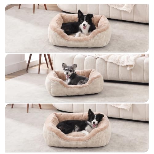 XL Dog Beds Large Sized Dog (XL (42"x30"x8") / Beige)