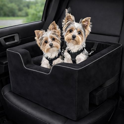 Lookout Booster Car Seat (Dark Black / Large - 22 inches)