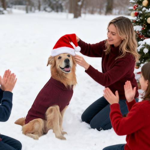 Turtleneck Dog Sweater (Medium / Wine Red)