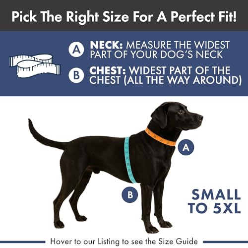 Anxiety Relief Vest for Dogs (02 Purple / Large)