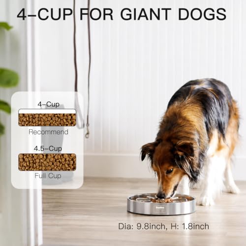 Slow Feeder Dog Bowl Large Breed 4 (Spiral-1Pack / XL 4~4.5Cups)