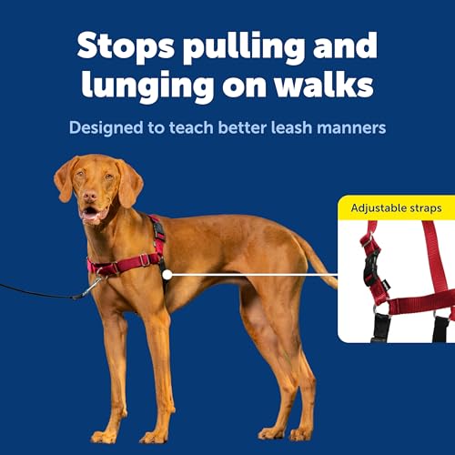Easy Walk Harness for Dogs (Medium / Red)