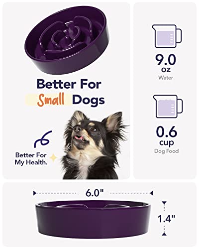 Ceramic Slow Feeder Dog Bowls Small Breed (Maze Purple / S-0.6 Cups)