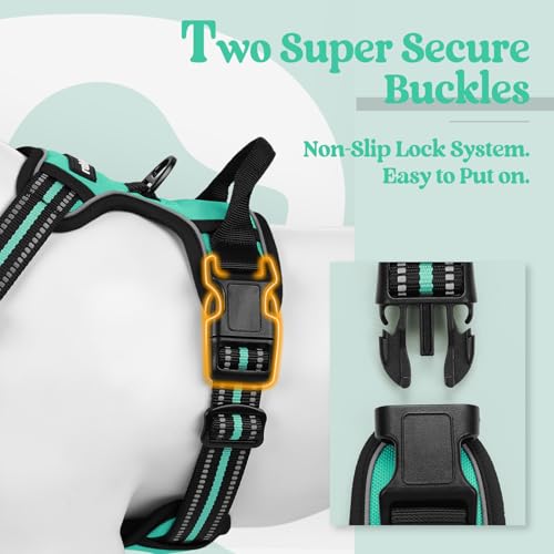 Dog Harness No Pull Medium Sized with 2 Leash Clips (Medium / Turquoise)