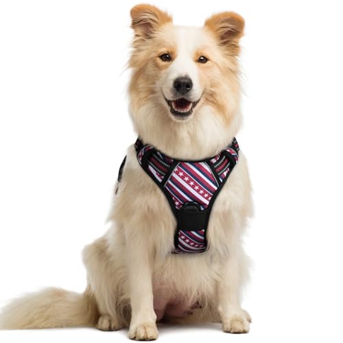 Dog Harness No Pull Medium Sized with 2 Leash Clips (Medium / Red Stripe)