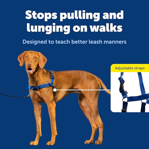 Easy Walk Harness (Medium / Royal Blue/Navy Blue)