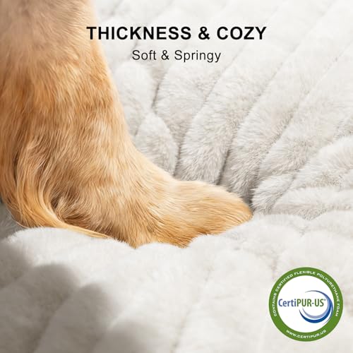 Dog Bed for Small Medium Dog (Cream / M (25"x21"x7"))