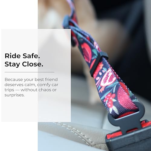 Dog Car Seat Belt (Black (Red Pomegranate))