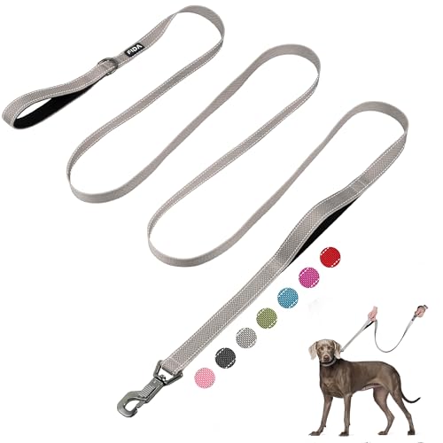 10 FT Heavy Duty Dog Leash (10 Feet (Pack of 1) / Grey)