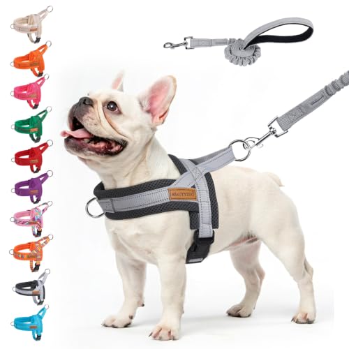 Dog Harness Medium Sized and Leash Set (Grey / M: Chest 21"-26.7")