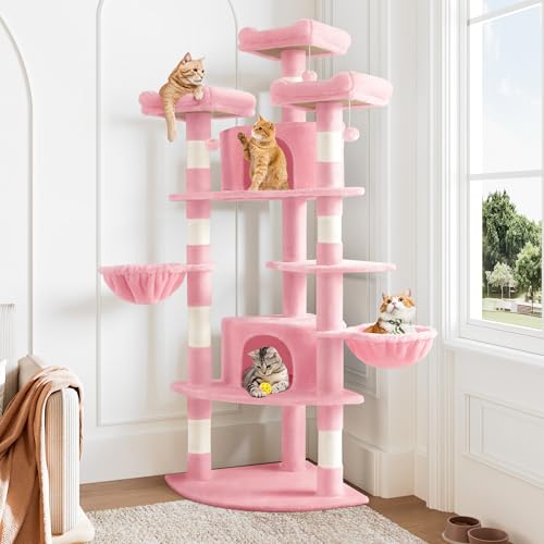 73in Fan Shaped Space (Pink)