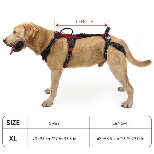 Mobility Dog Lift Harness (Red / XL)